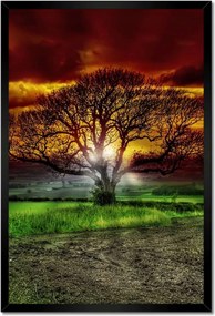 Poszterek keretben 40x60 Varázslatos fa tájkép
