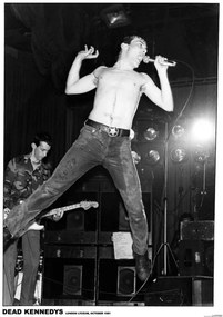 Plakát Dead Kennedys - Lyceum London 81