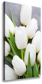 Vászonkép nyomtatás Fehér tulipán ocv-104270630