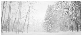Kép - Fából készült móló télen (120x50 cm)