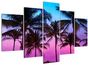 Kép - Pálmafák Miamiban (150x105 cm)