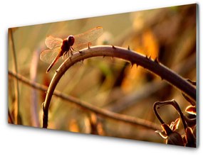 Modern üvegkép Dragonfly Nature Plant 100x50 cm 2 fogas