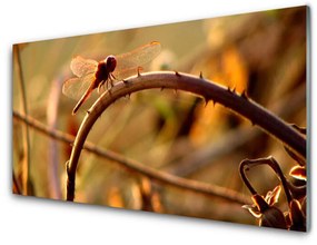 Modern üvegkép Dragonfly Nature Plant 100x50 cm