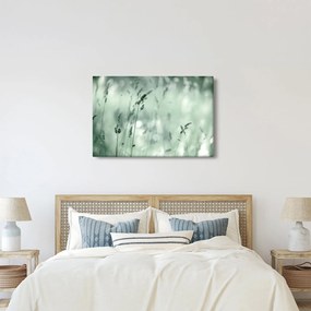 Kép - Zöld rét (90x60 cm)
