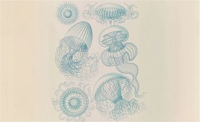 Fotótapéta Flizelina Nappali és Hálószoba Tengeri medúzák 416x254 Ragasztó