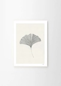 Poszter 50x70 cm Ginkgo Leaf – Ana Frois – The Poster Club