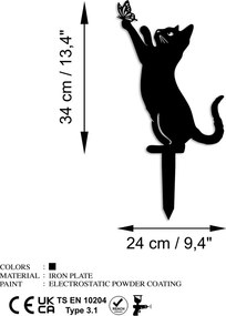 Cat 01