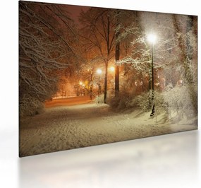 Kép - havas park (üvegen) (70x50 cm)