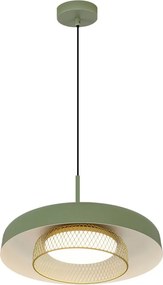 Petiti - 1432-1A-07
