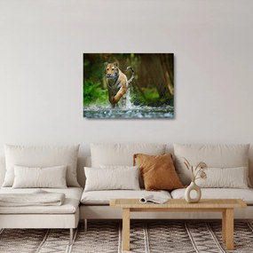 Futó tigris képe (üvegen) (70x50 cm)