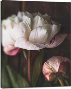 Vászonkép Fehér Virág Természet Vintage Retro 40x50