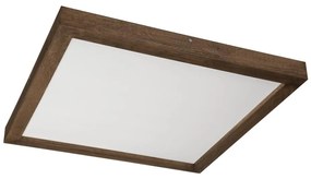 Brilagi-LED Fürdőszobai lámpatest WOODY FRAME LED/40W/230V 60x60 cm IP44 tölgy, dió