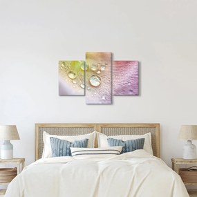 Kép - Harmatcseppek (90x60 cm)