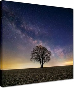 Vászonkép 30x30 Magányos fa és csillagok