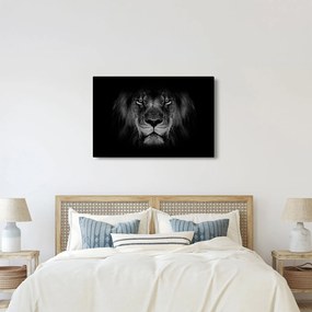 Kép - Az oroszlán és felsége (90x60 cm)