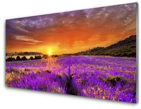 Üvegfotó Sunset Lavender Field 100x50 cm