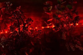 NEXOS Fénykábel 240 LED Piros 10 m