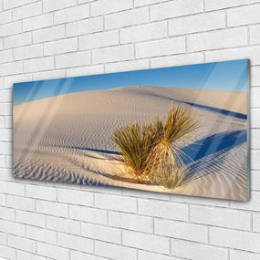 Üvegfotó Fekvő sivatagi homok 120x60cm