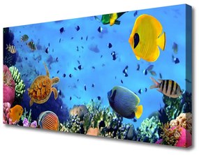 Vászonkép falra Coral Reef Halak Természet 125x50 cm