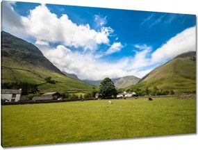 Festmények 120x80 Juh legeltetés