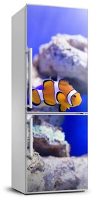 Hűtő matrica Nemo hal FridgeStick-70x190-f-120479478