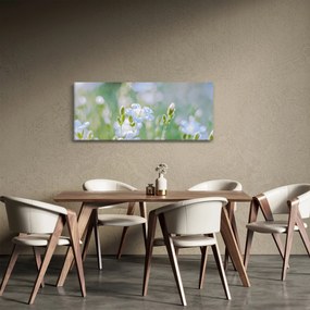 Kép - Finom virágok (120x50 cm)