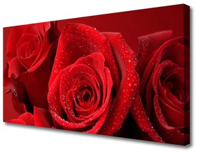 Vászonkép rózsa virágok 100x50 cm