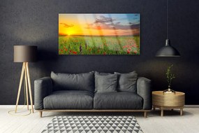 Akril üveg kép Sun mezei virágok Természet 100x50 cm
