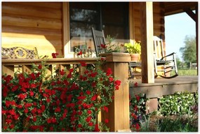 Poszterek 120x80 Fa veranda