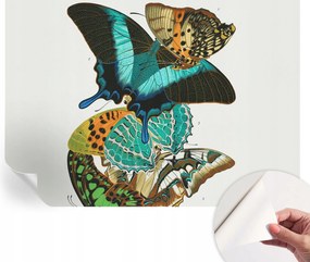 Modern öntapadós fali fotótapéta Színes pillangók 208x146 cm