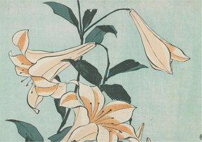 Fali fotótapéta Étkezőbe Finom liliomok 208x146 Ragasztó