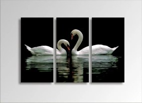 Digital Art vászonkép | 1222-S Swans THREE / POG 4336