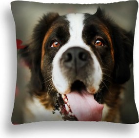 Párna Nagy 50*50 Kutya 09 Bernáthegyi