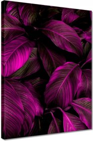 Vászonkép 30x40 Gyönyörű fukszia levelek