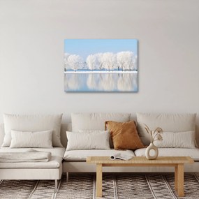 Egy kép egy téli tájról (70x50 cm)
