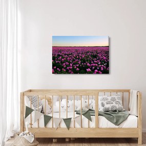 Kép - lila tulipánok rétje (90x60 cm)