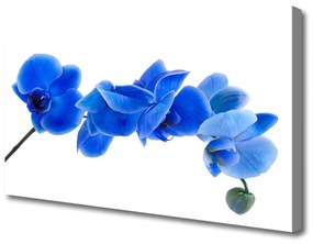 Vászonkép Természet virág növény 125x50 cm