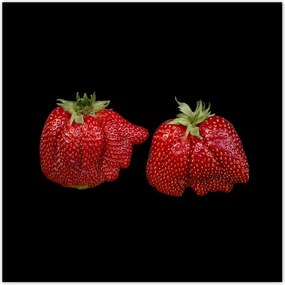 Poszterek 100x100 Nagy érett eper