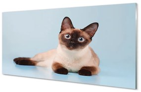 Üvegképek fekvő macska 125x50 cm
