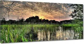 Festmények 120x60 Lápvidék