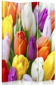 Gario Paraván Színes tulipánok Méretek: 110 x 170 cm, Kivitelezés: Forgó paraván 360°
