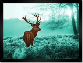 Poszterek keretben 40x30 Szarvas a türkiz erdőben