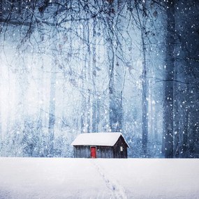 Fotográfia Winter, Bess Hamiti