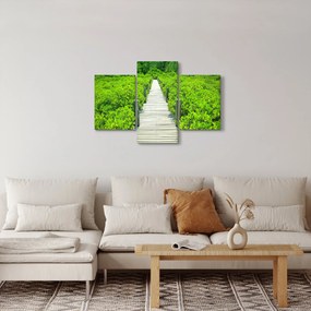 Kép - fa járda (90x60 cm)