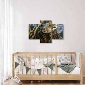 Kép - Piton (90x60 cm)