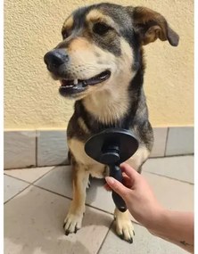 Self-cleaning fur brush