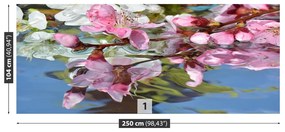 Fotótapéta Cseresznyevirág víz 104x70 cm