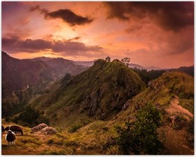 Poszterek 50x40 Tájkép bárányhegyekkel