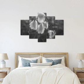 Kép - Cottongrass (150x105 cm)