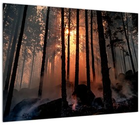 Sötét erdő képe (70x50 cm)